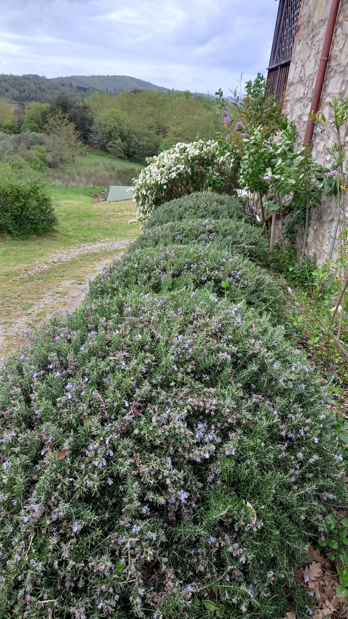 Podere Casalbosco - Idromassaggio e panorama Rapolano Terme Esterno foto
